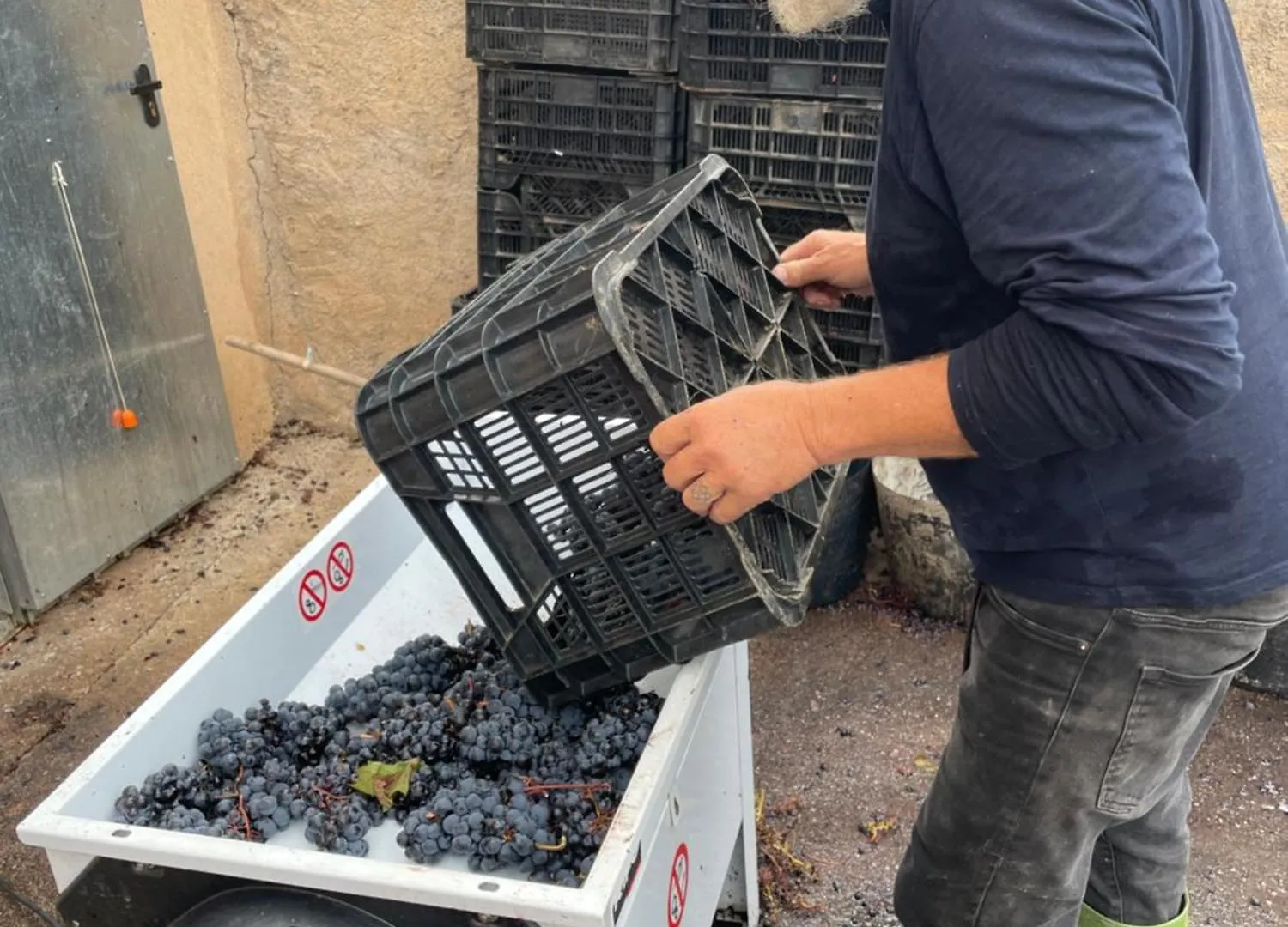 Entire Vineyard Villa With Pool Lobras 0*,  Espagne