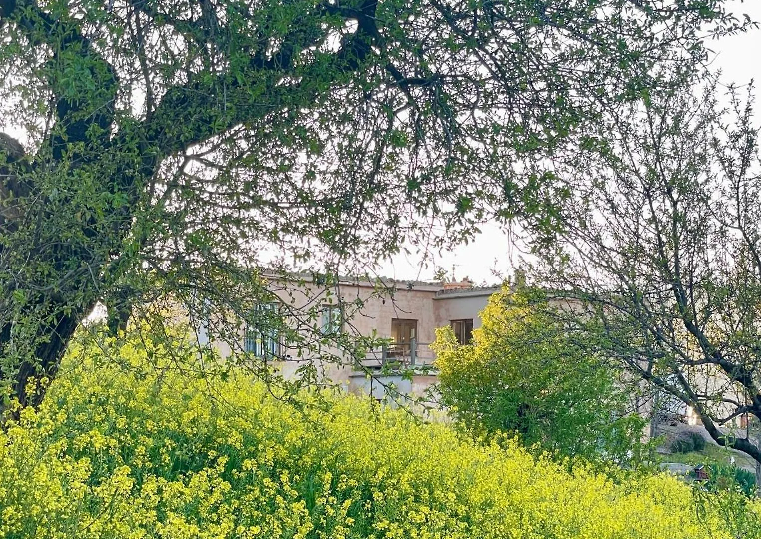 Entire Vineyard Villa With Pool Lobras