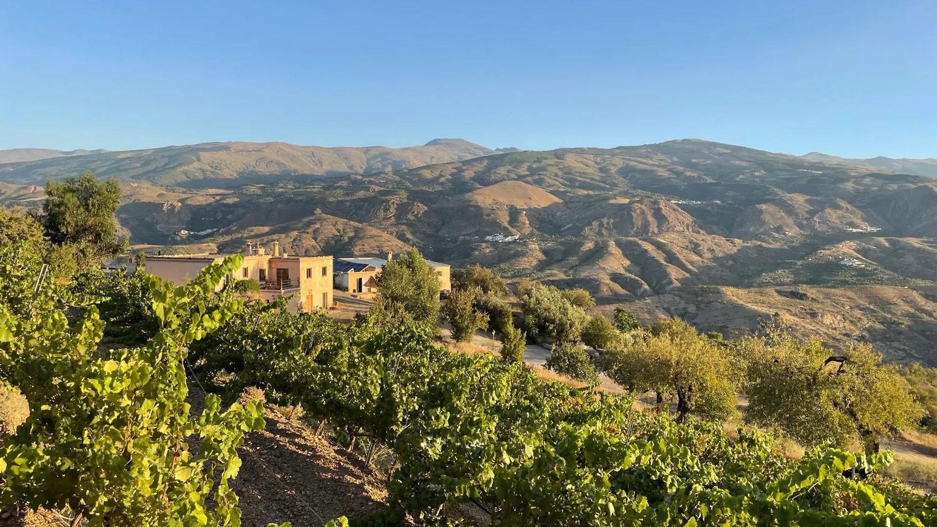 Entire Vineyard Villa With Pool Lobras