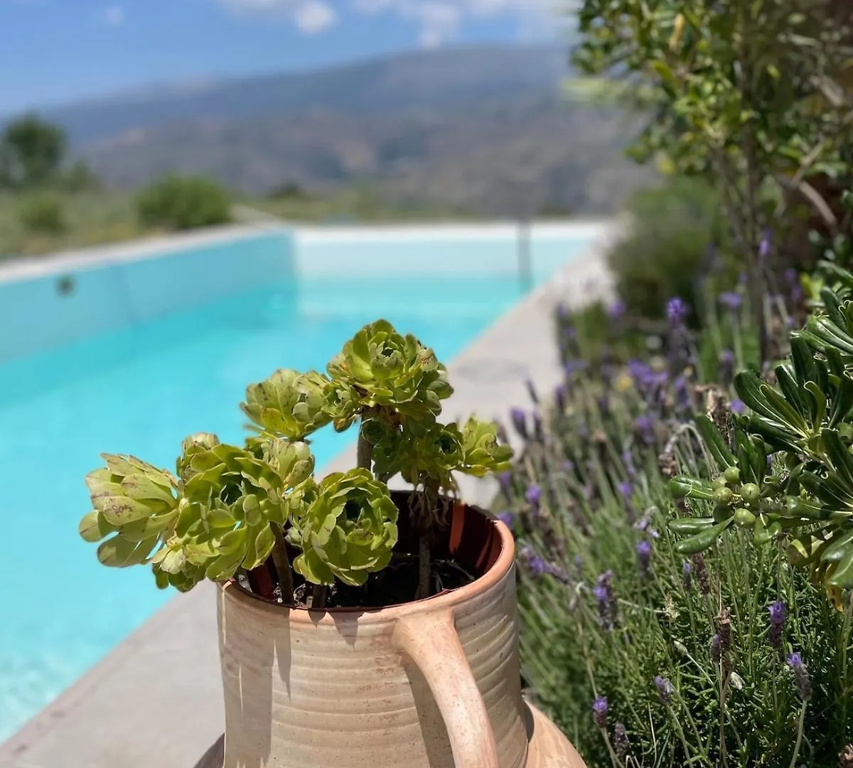 Entire Vineyard Villa With Pool Lobras Holiday home