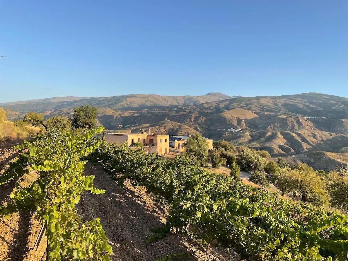 Entire Vineyard Villa With Pool Lobras