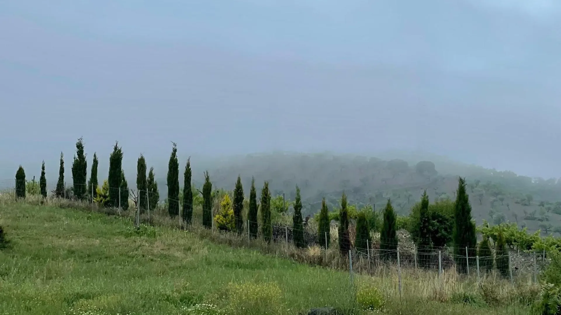 Entire Vineyard Villa With Pool Lobras