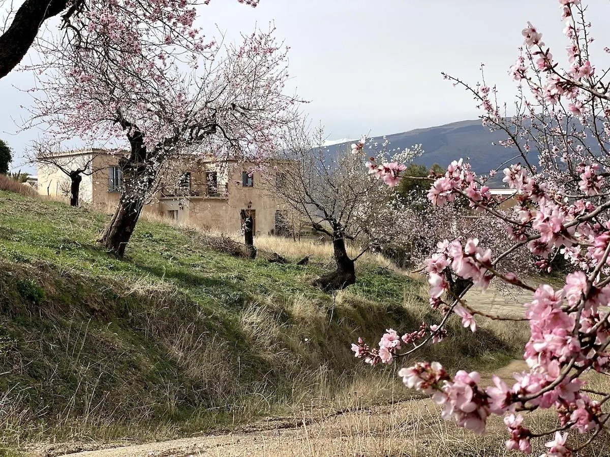 Holiday home Entire Vineyard Villa With Pool Lobras