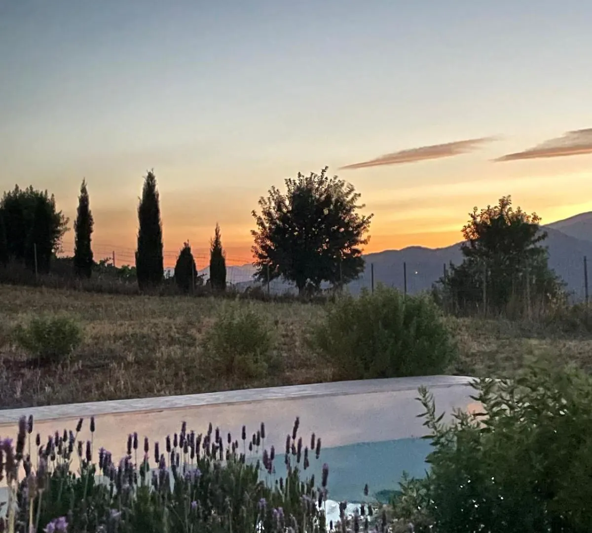 Entire Vineyard Villa With Pool Lobras Holiday home